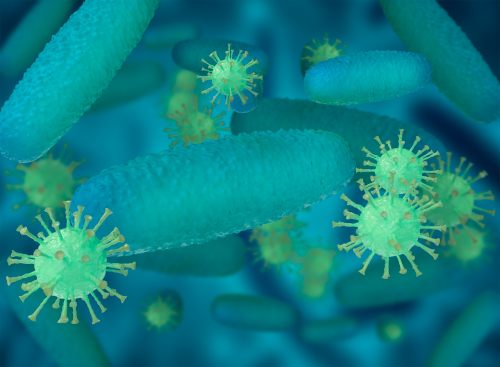 Viren und Bakterienzellen