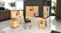 Preview: Holz Büromöbel günstig