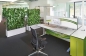 Mobile Preview: Moderne Pflanzen-Trennwand im Büro