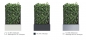 Preview: Pflanzen-Trennwand in versch. Farben lieferbar 1980 x 1200 x 400 mm (H x B x T)