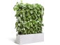 Preview: Pflanzen-Trennwand zur dekorativen Raumtrennung von fintabo®
