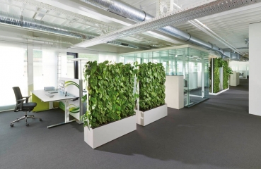 Pflanzen-Trennwand für mehr Grün im Büro