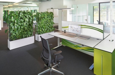 Freundliche Pflanzen-Trennwand im Büro