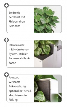 Pflanzen-Trennwand: Optional mit Akustikfüllung u. mit Bepflanzung (Philodendron Scandens)