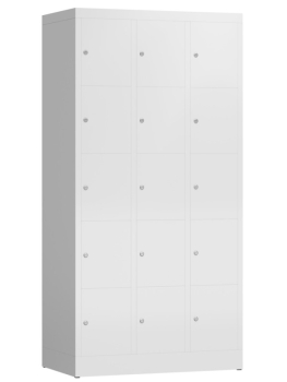 Wertfachschrank mit 3 x 5 Fächern Typ LL119, signalweiß/signalweiß - RAL 9003/9003