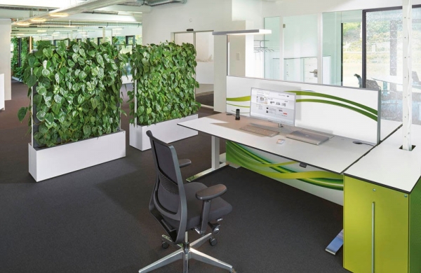 Moderne Pflanzen-Trennwand im Büro