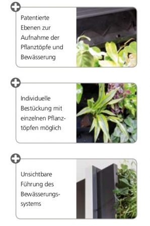 Dekorative Pflanzenwand als Sichtschutzwand mit Bepflantzung